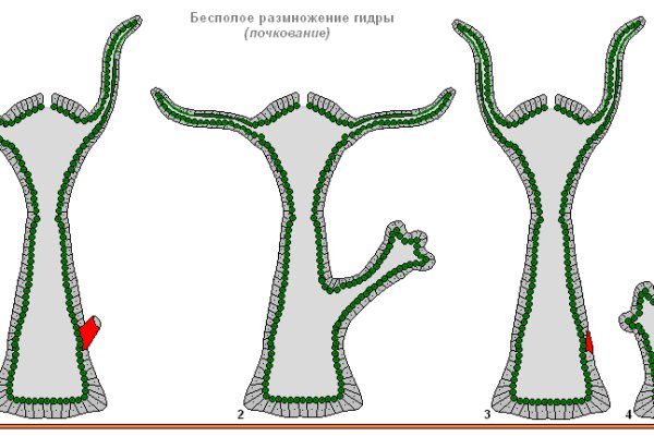 Кракен даркмаркет плейс